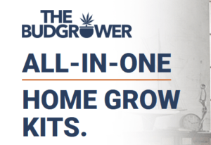 Home Grow Kits