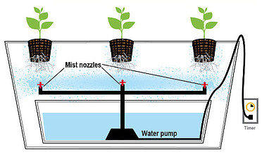 Aeroponics