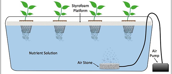 Deep Water Culture Hydroponics System