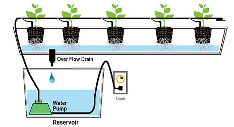 Drip Hydroponics System