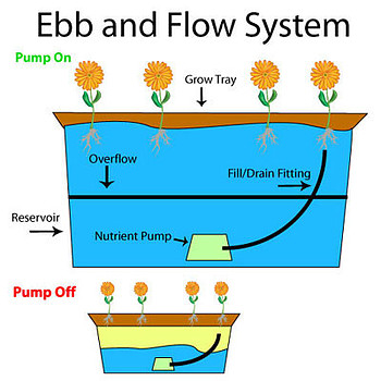 EBB and Flow System