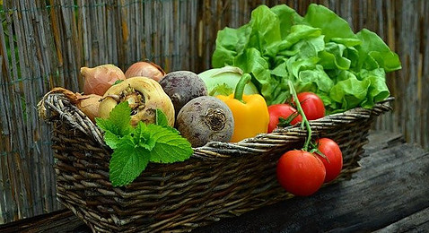 Harvested Vegetables in Basket