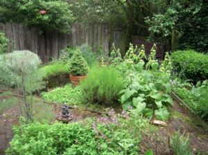 Herb Garden