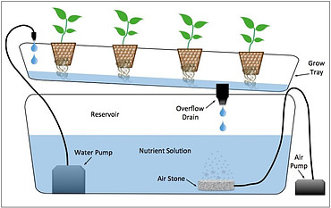 Nutrient Film Technique - Hydroponics