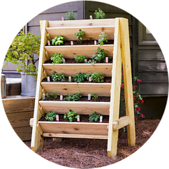 Shelf Herb Garden