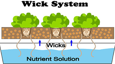 Wick Hydroponics System
