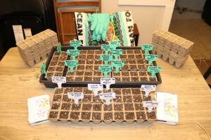 Perennial Seeds Planted