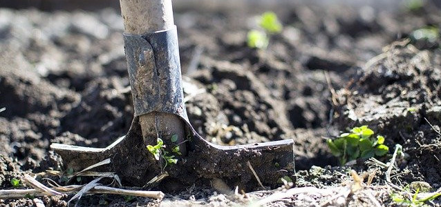 Prepping the soil