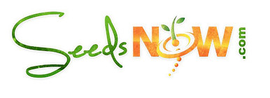 Seeds Now Banner