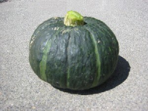 Kabocha or Japanese Pumpkin