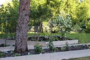 Raised Bed Moon Garden