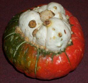 Turban Squash