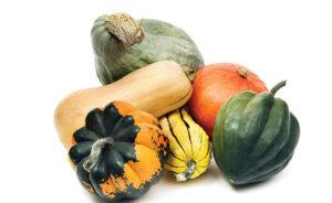 How to grow Squash - Winter Squash