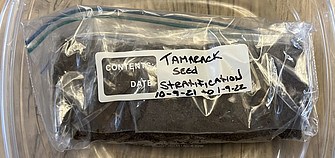 Tamarack Seeds in bag